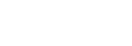 Logo BFM